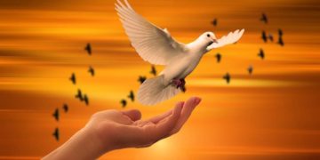 Angriff auf die Ukraine: Kirchengemeinden laden zu Friedensgebeten