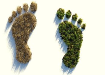 Online-Workshop zum Klimaschutz