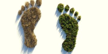 Online-Workshop zum Klimaschutz