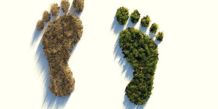 Online-Workshop zum Klimaschutz