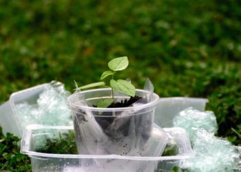 Bundesrat nimmt Initiative zur Änderung der Bioabfallverordnung an