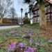 Geführter Stadtrundgang durch Lauenburg