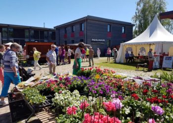 Biosphäre-Schaalsee-Markt startet in die neue Saison