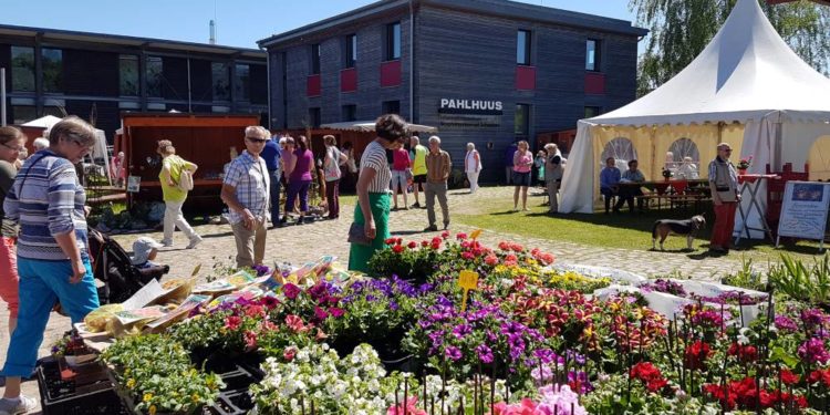 Biosphäre-Schaalsee-Markt startet in die neue Saison