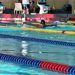 MSV-Schwimmen