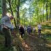 Unsere Wälder leiden: SPD-Kreistagsfraktion fordert Waldsymposium