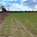 Geplantes Gewerbegebiet „Steinkrüger Koppel“ stärkt Büchen und die Region