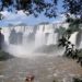 Südamerika – Argentinien: von Iguazu nach Feuerland
