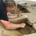 Themencafe´ zeigt Fotos von archäologischen Funden in Büchen-Pötrau