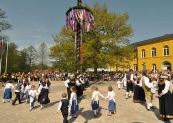 70. Maibaum-Aufstellung in Ratzeburg