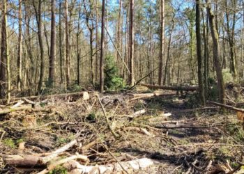 Sperrung und Umleitung des Elberadwegs