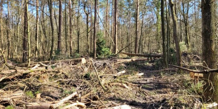Sperrung und Umleitung des Elberadwegs