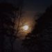 Stadtführung „zum Vollmond“