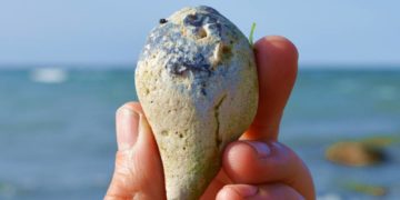 Sonne, Steine und Meer