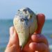 Sonne, Steine und Meer