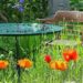 Springendes Sommercafé – Gastgeber gesucht