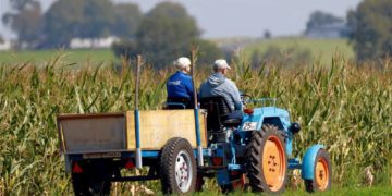 „Knackwust!“ – fast tabulose Geschichten aus dem Landleben