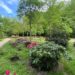 Der Geesthachter Rhododendron Park wächst weiter