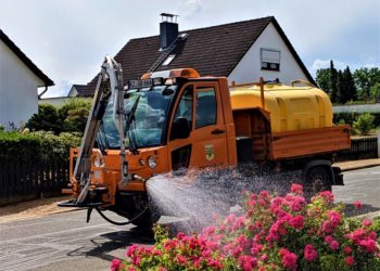 Büchen macht grün – Gießen erwünscht