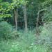 Naturkundliche Wanderung in Dechow
