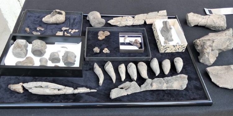 Chance für ein Urmeermuseum