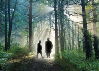 KulturSommer am Kanal: Seele – Musik – Kunst – Theater