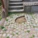 Vandalismus greift um sich