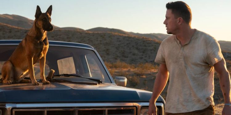 „Dog“ im Kino