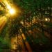 Erleben, entdecken, entspannen – Naturparktouren im Sommer