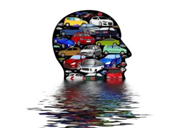 Jetzt registrieren: Klimaschutz Newsletter in Mölln gestartet