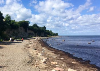 Das Ferienprogramm des GeoParks – Schatzsuche am Kliff und im Kieswerk