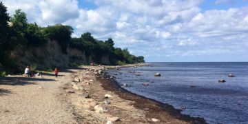 Das Ferienprogramm des GeoParks – Schatzsuche am Kliff und im Kieswerk
