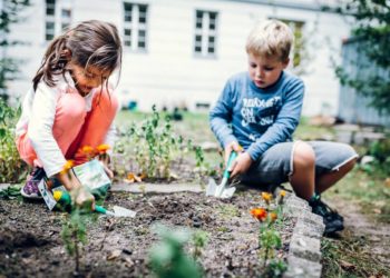 Bildung für Nachhaltigkeit: kostenfreie Fortbildungen für Erzieher und Lehrkräfte