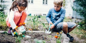 Bildung für Nachhaltigkeit: kostenfreie Fortbildungen für Erzieher und Lehrkräfte