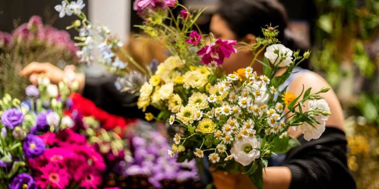 Floristik: Kräftiges Lohn-Plus für 80 Beschäftigte