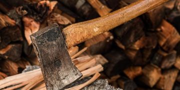 Neuregelung der Brennholzvergabe in den Kreisforsten