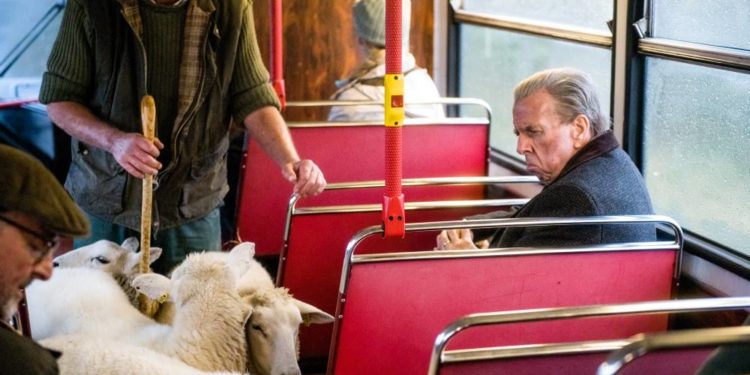 Montagskino: „Der Engländer, der in den Bus stieg und bis ans Ende der Welt fuhr“