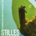 „Stilles Wasser“
