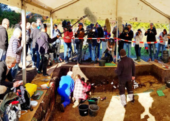 Sensationsfund im Duvenseer Moor