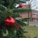 Weihnachtsbäume für öffentliche Bereiche gesucht