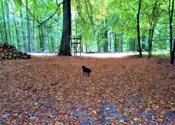 Fotos der Woche