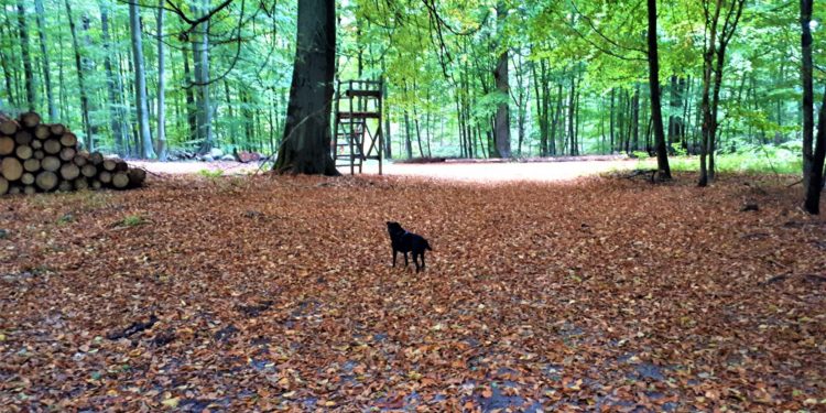 Fotos der Woche
