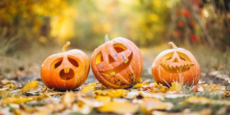 Bunte Herbstferien für Kinder und Jugendliche in Ratzeburg