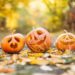 Bunte Herbstferien für Kinder und Jugendliche in Ratzeburg