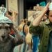 „Die Känguru-Verschwörung“