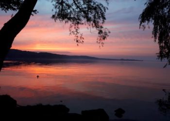 Fotos der Woche