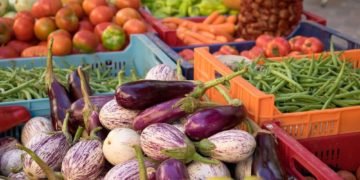 Sofortprogramm zur Unterstützung der Tafeln greift