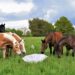 Fotos der Woche