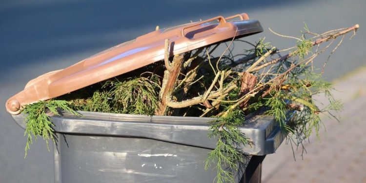 Gartenabfälle dürfen nicht verbrannt werden