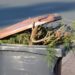 Gartenabfälle dürfen nicht verbrannt werden